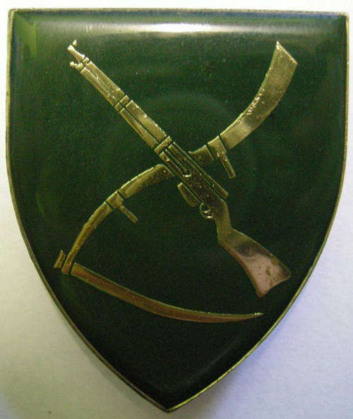Skiereiland Commando  Shoulder Flash Pins Intact Dinnes 4878