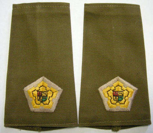 SADF Major Rank Insignia Pair Embroidered on Material