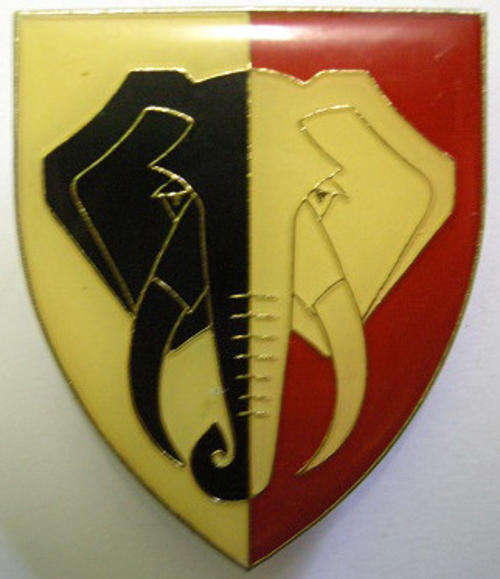 SWA 701 Battalion Shoulder Flash Pins Intact Dinnes 5219