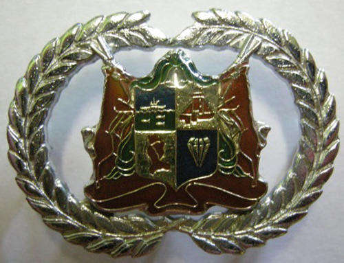 SWA Police Warrant Officer Male Type 2 Rank Badge Dinnes 1322