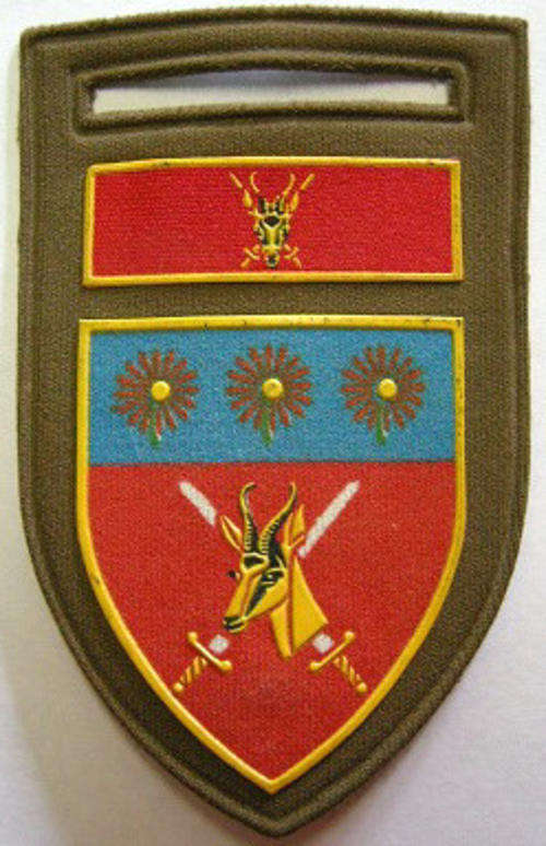 Northern Transvaal Command Rubberised Shoulder Flash Pin Intact Dinnes 5378