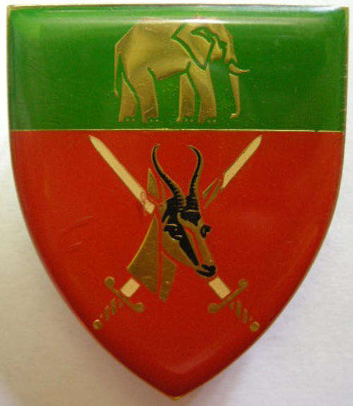 Eastern Province Command Shoulder Flash Pins Intact Owen F399