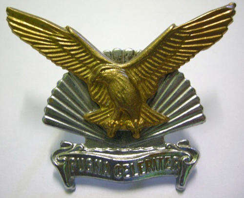 Durban Regiment Bi-Metal Cap Badge Dinnes 614