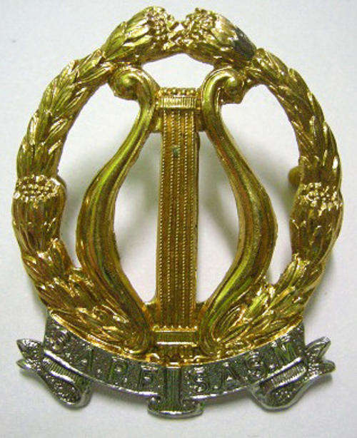 SA Permanent Force Band Bi-Metal Cap Badge Dinnes 554