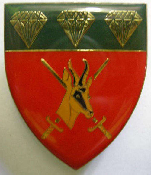 Northern Cape Command Shoulder Flash Pins Intact Dinnes 4334