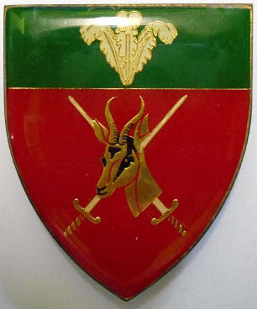 Southern Cape Command Shoulder Flash Pins Intact Dinnes 4309
