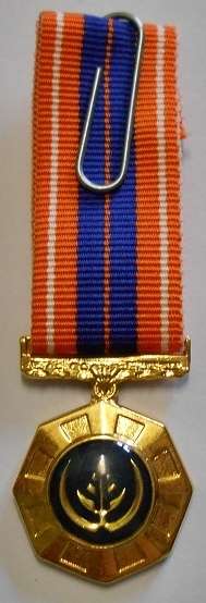 Miniature Pro Patria Medal Raised Epoxy