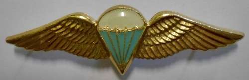 SA Parachute Basic Paratrooper 8 Jumps or More Lucite Covered Wing Full Size Dinnes 311