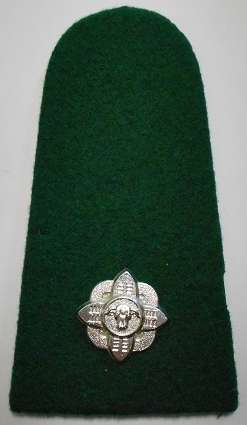 Ciskei Police Major Rank Insignia Single Note Moth Damage