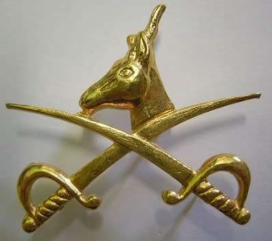 PT Instructor Gilding Metal Proficiency Badge 3rd Type Dinnes 908