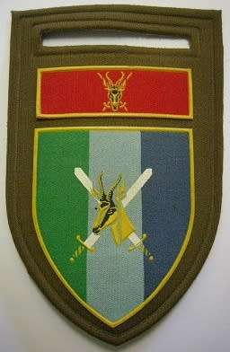 SA Army Signal Formation Rubberised Shoulder Flash Pin Intact