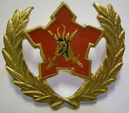 Army Breast Badge 5 Year Volunteer Service Dinnes 904