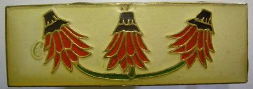Far North Command Higher Formation Bar Note Air Bubble in Lucite Dinnes 4229