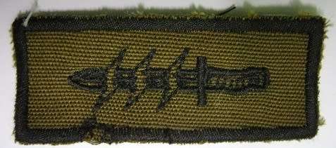 61 Mechanised Battalion Group Cloth Operation Participation Breast Badge Dinnes 1627
