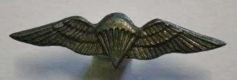Para Wing Pin Silver 25mm x 6.5mm
