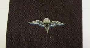 Parachute Tie Dirty w/ Label His Excellency by Regent