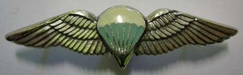 SA Parachute Despatcher Or 50 Jumps or More Mess Dress Wing Hollow Struck Dinnes 315