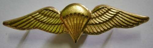 SA Parachute Basic Gilding Metal Mess Dress Wing