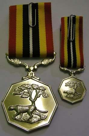 Full Size Southern Africa Medal Double Face Susp Tall Grass Poor Detail Number on Rim w/ Miniature