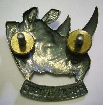 SWATF 101 Battalion Cap Badge Dinnes 1255