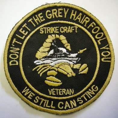 SA Navy Strike Craft Veteran Badge Embroidered on Material 87mm