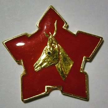Army Senior Sergeant Major Collar Badge Lucite Covered No Pins