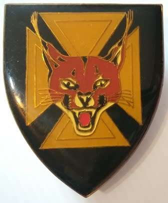 7 SA Infantry Battalion Shoulder Flash Pins Intact
