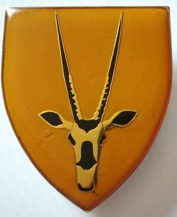 8 SA Infantry Battalion Shoulder Flash Pins Intact