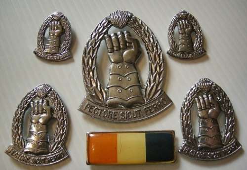 SA Armoured Corps Cap, Collar & Mess Dress Collar Badges w/ Large Type Beret Bar No Bolts / Pins