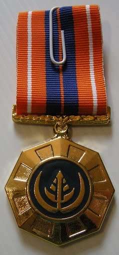Full Size Pro Patria Medal Numbered at Back Flush Epoxy