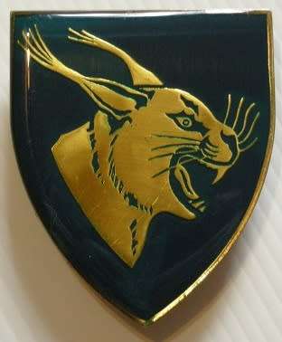 Northam Commando Shoulder Flash Pins Intact