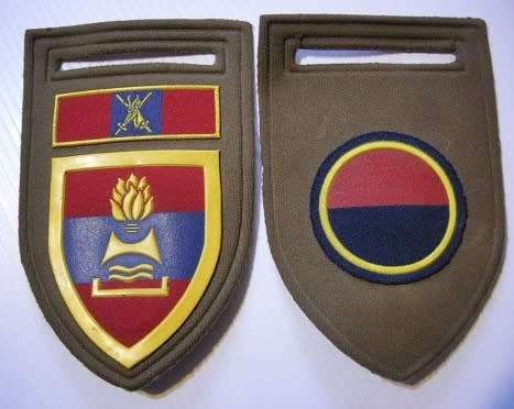 2 Field Engineer Regiment Rubberised Shoulder Flash w/ C COY Flash Pins Intact