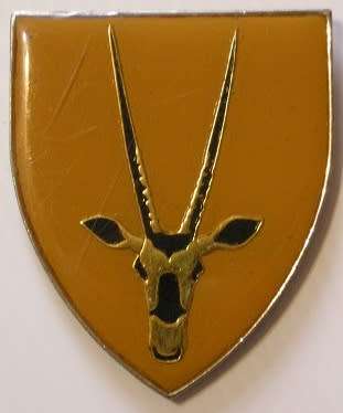 8 SA Infantry Battalion Shoulder Flash No Pins