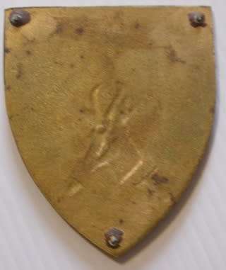 Orange Free State Command Shoulder Flash No Pins