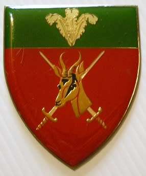 Southern Cape Command Shoulder Flash No Pins