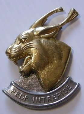 Regiment Pretorius Bi-Metal Cap Badge No Bolts