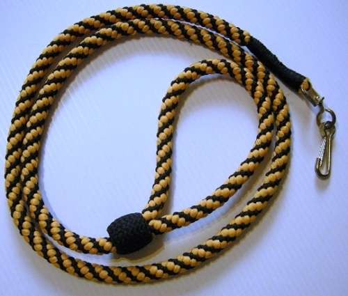 Finances Services Corps Lanyard