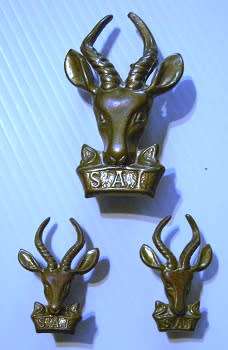 SA Infantry Corps Brass Cap Badge (Large Springbok Head) & Collar Badges