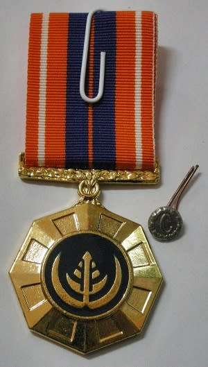 Full Size Pro Patria Medal Numbered at Back Flush Epoxy In Original Box w/ Cunene Button