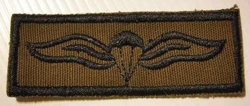 Parachute Wing Embroidered on Material