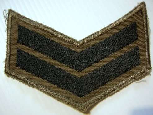 Commandant Rank Insignia Single