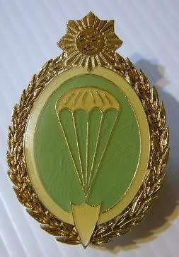 Uruguay Army Parachute Wing