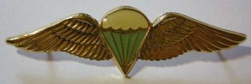 SA Parachute Basic Paratrooper 8 Jumps or More Wing Full Size