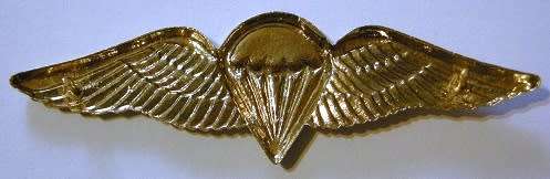 SA Parachute Basic Paratrooper 8 Jumps or More Wing Full Size