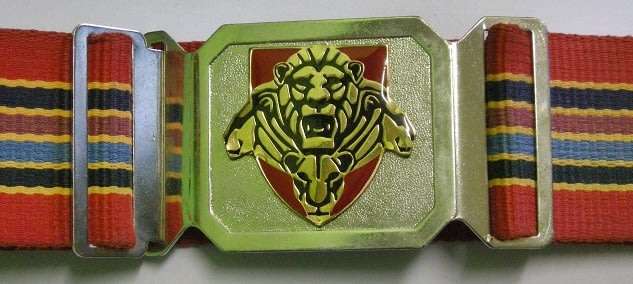 SANDF Army Stable Belt Length of Belting 123cm