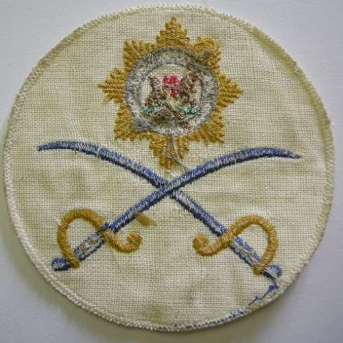 SA Police PT Instructor Tracksuit Badge Embroidered on Material 98mm