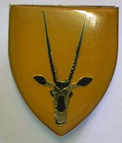 8 SA Infantry Battalion Shoulder Flash Pins Intact Owen F112