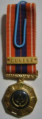 Miniature Pro Patria Medal w/ Miniature Cunene Bar