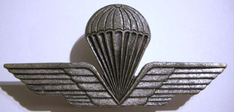 Italy Airborne Paratrooper Jump Wings Pins Intact 78mm x 36mm