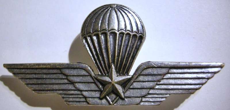 Italy Airborne Instructor Paratrooper Jump Wings Pins Intact 79mm x 35mm